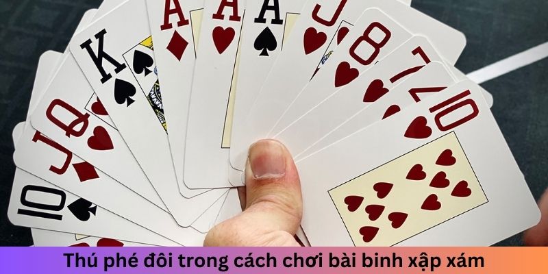 Thú phé đôi trong cách chơi bài binh xập xám