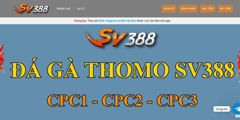 Cách tối ưu hóa tốc độ khi thực hiện truy cập vào website 