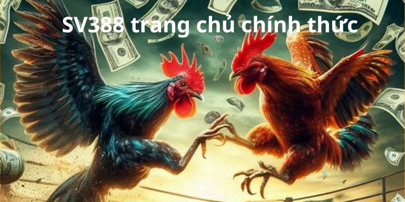 SV388 trang chủ chính thức