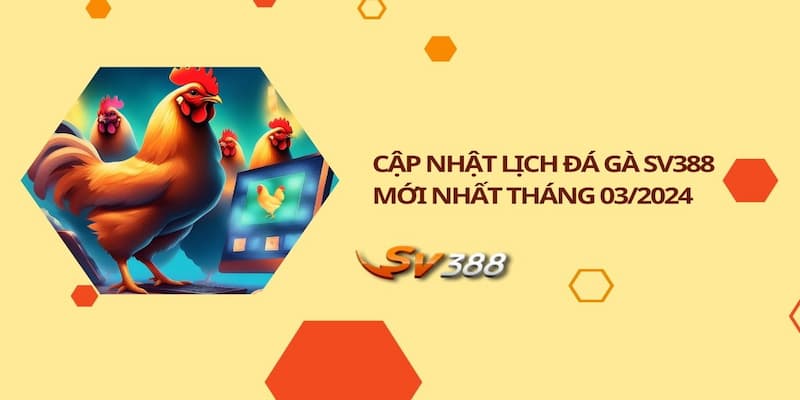 Giới thiệu thông tin về lịch đá gà tại sân chơi sv388 cho hội viên biết