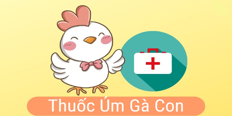 Thuốc úm gà con