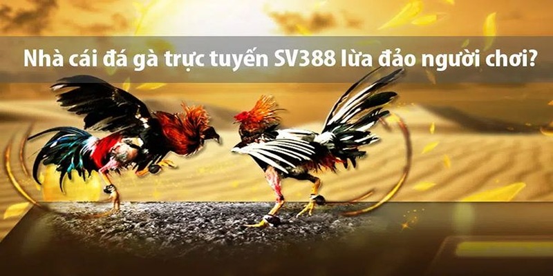 Nguyên nhân xuất hiện tin đồn Sv388 lừa đảo