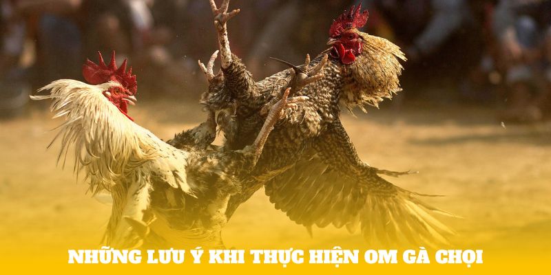 Những lưu ý khi thực hiện om gà chọi