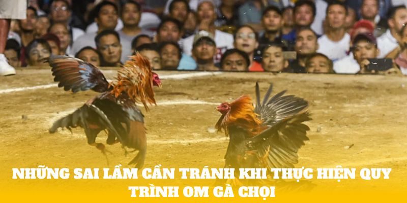 Những sai lầm cần tránh khi thực hiện quy trình om gà chọi