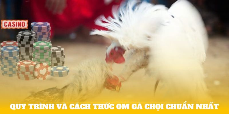 Quy trình và cách thức om gà chọi chuẩn nhất