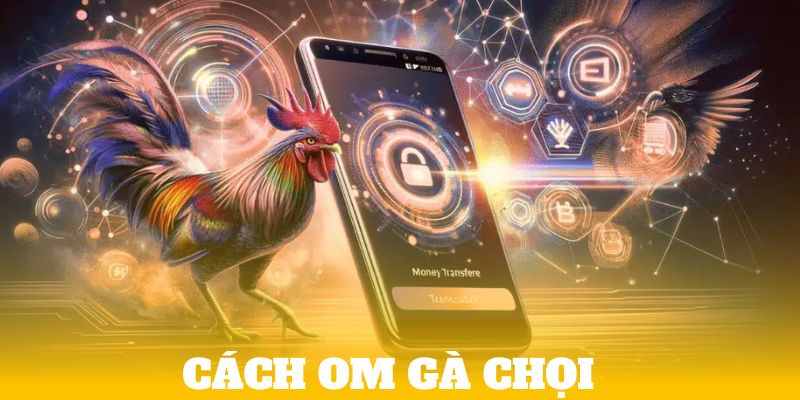 Cách Om Gà Chọi - Bí Kíp Chăm Sóc Từ Dân Chơi Chuyên Nghiệp